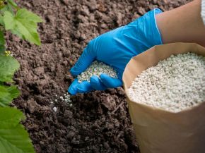 Picture for category Compost Additives