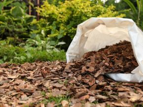 Picture for category Bark Products