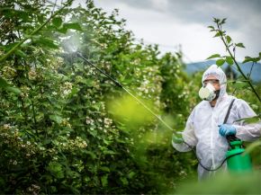 Picture for category Protective Clothing