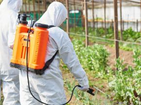 Picture for category Knapsack Sprayers