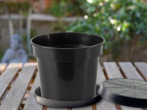 Picture for category Saucers