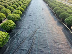 Picture for category Horticultural Fabrics
