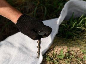 Picture for category Fabric Fixings