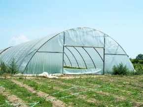 Picture for category Polyhouses