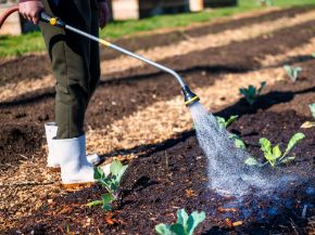 Picture for category Watering Lances