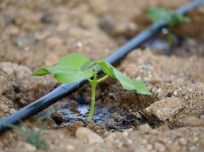 Picture for category Hose, Pipe & Trolleys