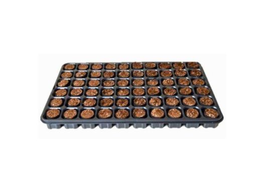 Picture of Fertiss 60 Plug Danish Tray