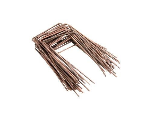 Picture of Groundcover Staples