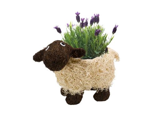 Picture of Brushwood Sheep Planter