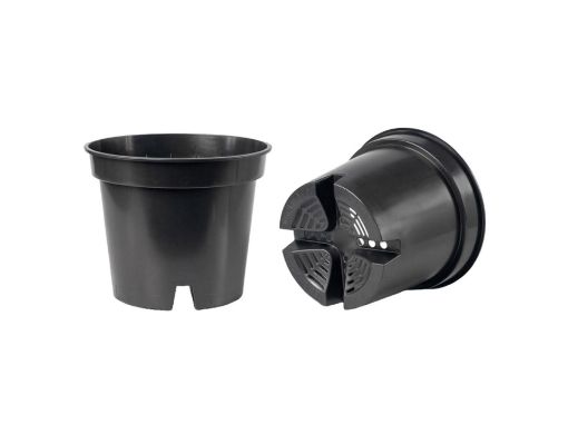 Picture of Blueberry Pot