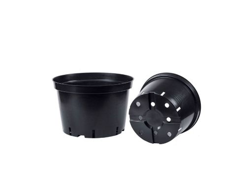 Picture of Squat Container Pot