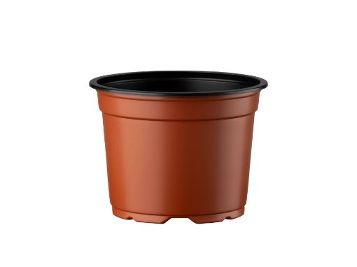 Picture of 13cm 5° Low Thermoformed Pot