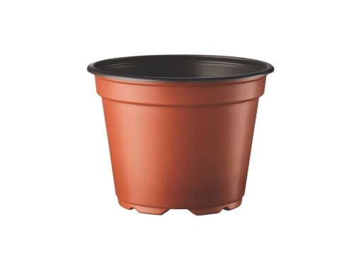 Picture of 13cm 8° Low Thermoformed Pot