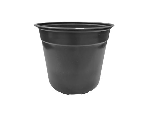 Picture of 17cm (2Ltr) 5° Thermoformed Pot