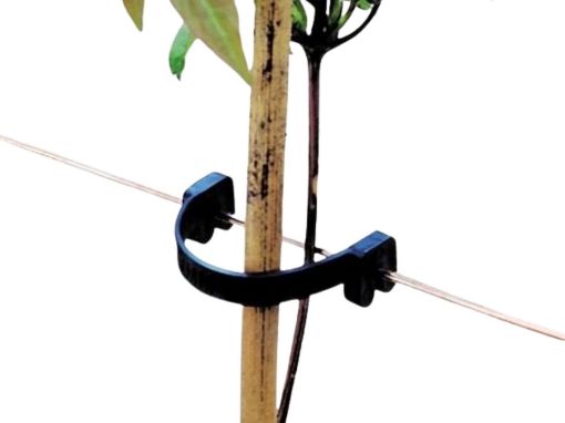 Picture of Tree Securing Clip
