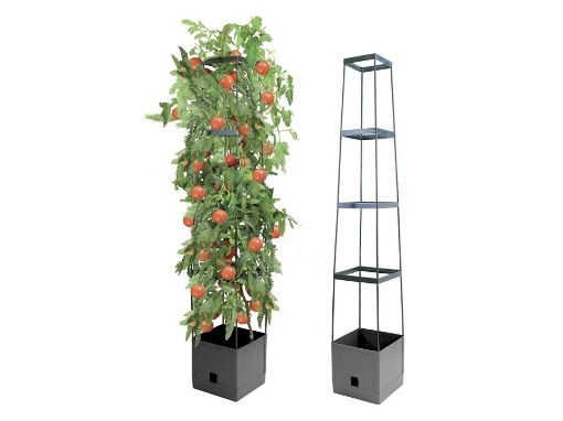 Picture of Biogreen Maxitom Plant Tower
