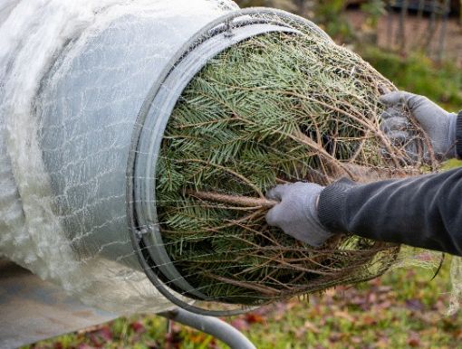 Picture of Christmas Tree Net