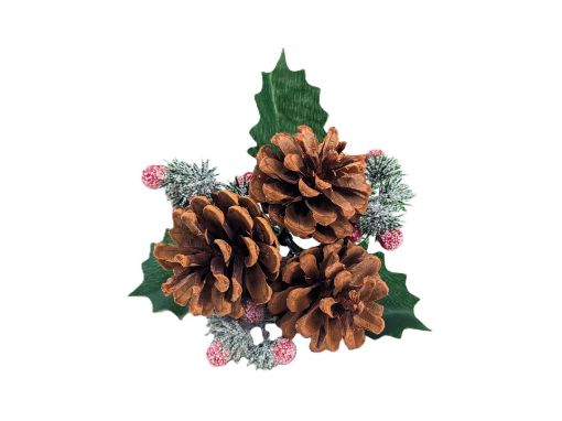 Picture of Natural Cone & Frosted Berry Pick