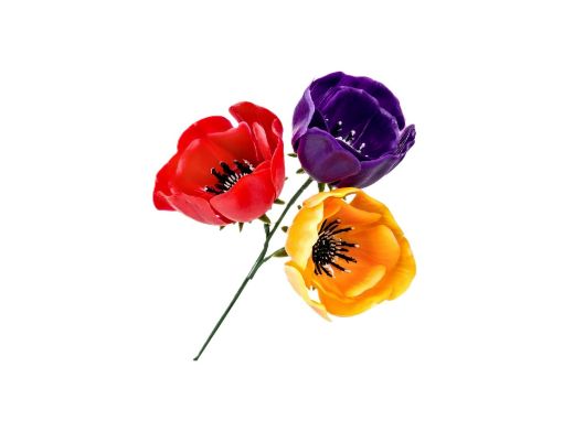 Picture of Plastic Anemone