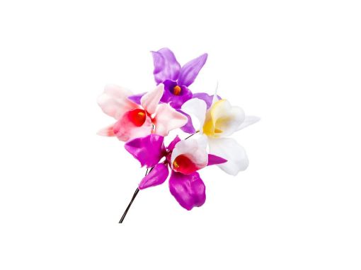 Picture of Plastic Orchid