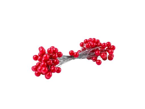 Picture of Red Wired Berries