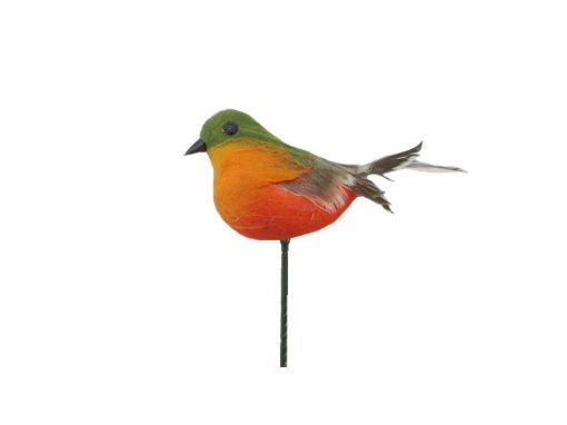 Picture of Robin Pick