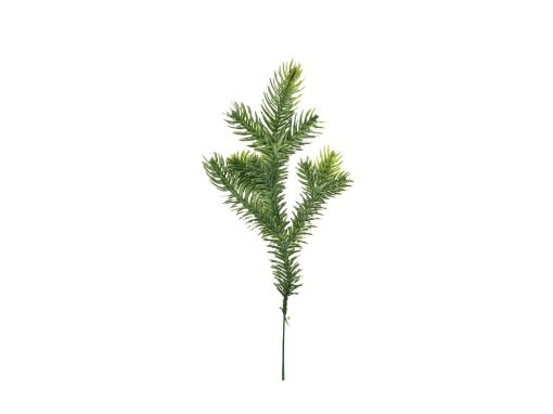 Picture of Spruce Pick