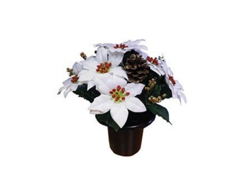 Picture of White Poinsettia Crem Pot