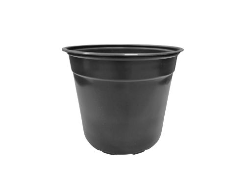 Picture of 17cm (2Ltr) 5° Thermoformed Pot