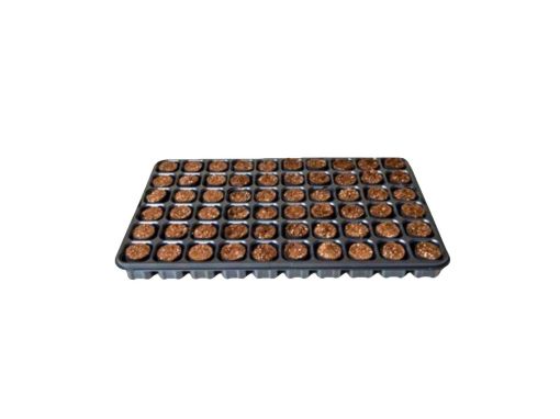 Picture of Fertiss 60 Plug Danish Tray