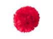 Picture of Silk Carnation
