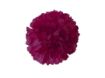 Picture of Silk Carnation