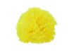 Picture of Silk Carnation