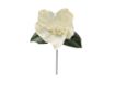 Picture of Silk Christmas Rose