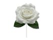Picture of Silk Open Rose