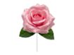 Picture of Silk Open Rose