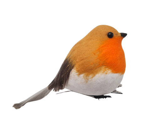Picture of Large Robin on a Clip
