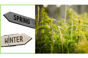 How to Plan for Spring While It’s Still Winter: A Proactive Grower’s Guide