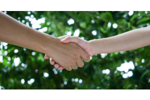 Get a JFH Horticultural Quote Now: Secure Your Costs for 2024 