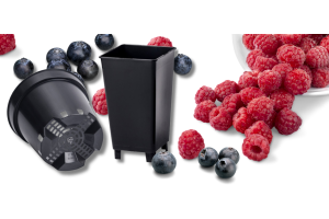 Introducing Our Range of Speciality Berry Pots 