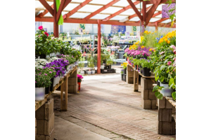 Maximising Spring sales opportunities within the Horticulture Industry