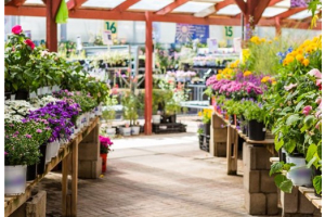 Reasons why Garden Centres should be happy in 2023