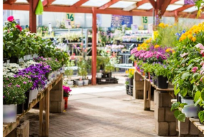 Reasons why Garden Centres should be happy in 2023