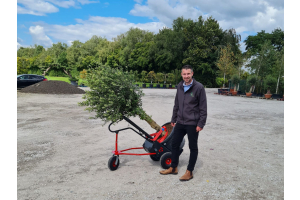 jfh tree caddy with tree