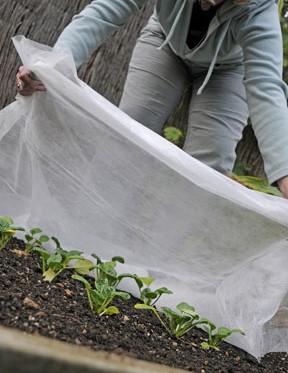 Frost Protection Fleece