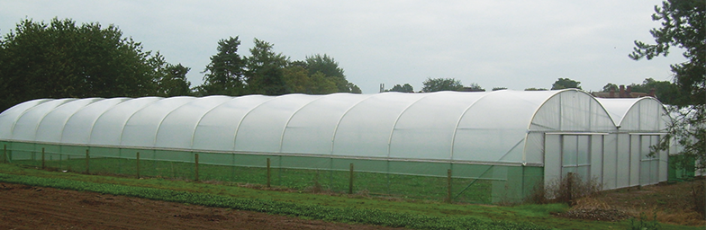 Polythene Covers