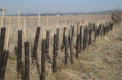 Tree Guards