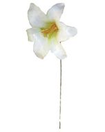 Plastic Harissi Lily