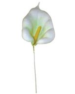 Plastic Calla Lily