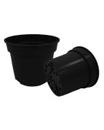 Container Pot